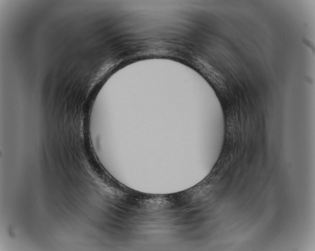 X0000096460112200802211135