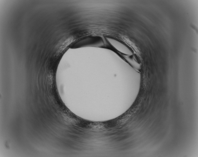 X0000096460113200802211135