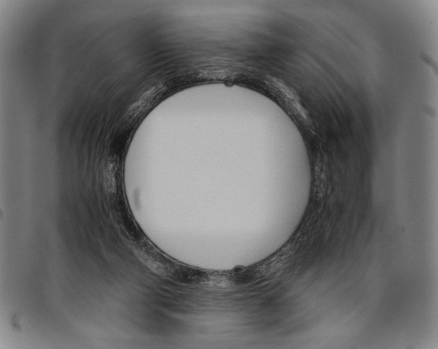 X0000096460114200802211135