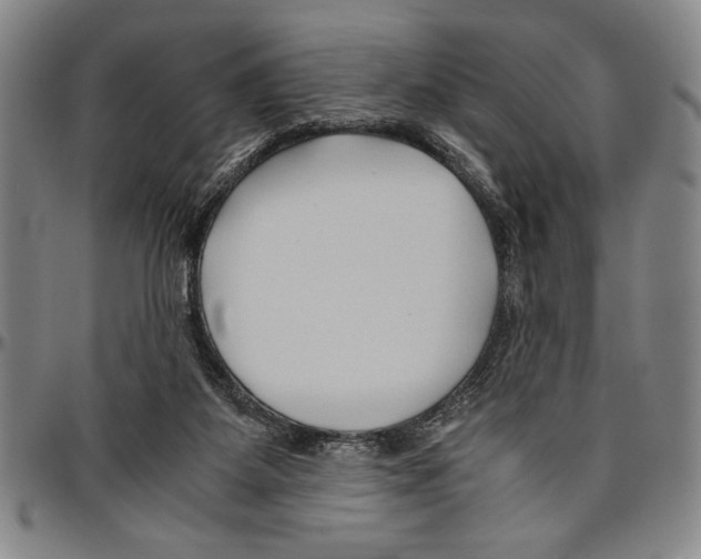 X0000096460115200802211135
