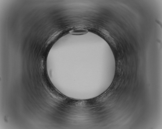 X0000096460116200802211135