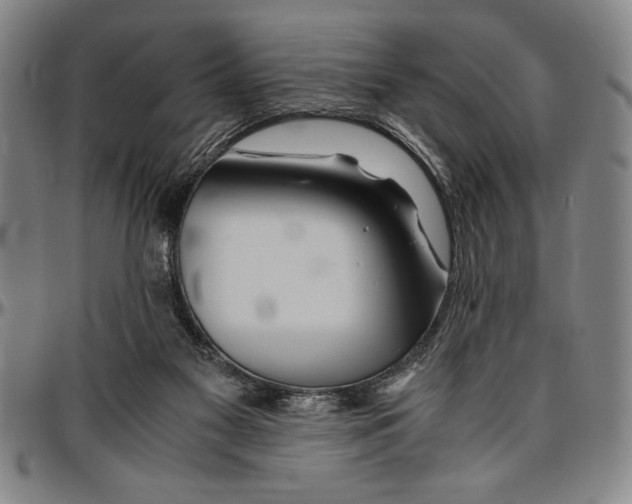X0000096460117200802211135