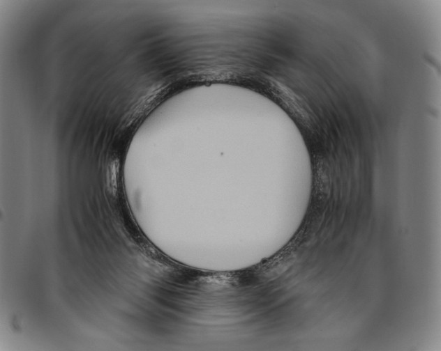 X0000096460118200802211135