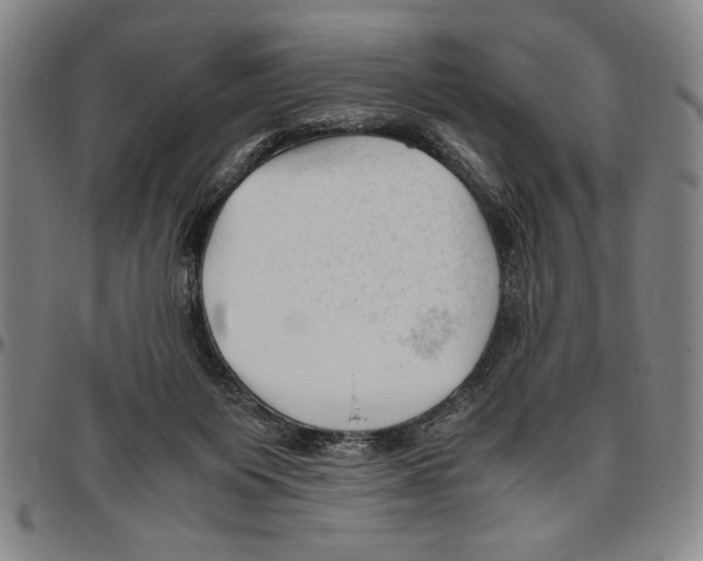 X0000096460119200802211135