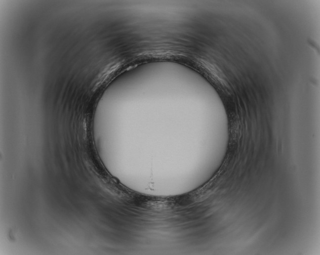 X0000096460120200802211135