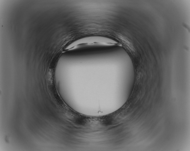 X0000096460121200802211135