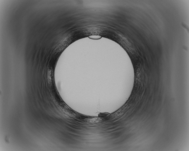 X0000096460122200802211135