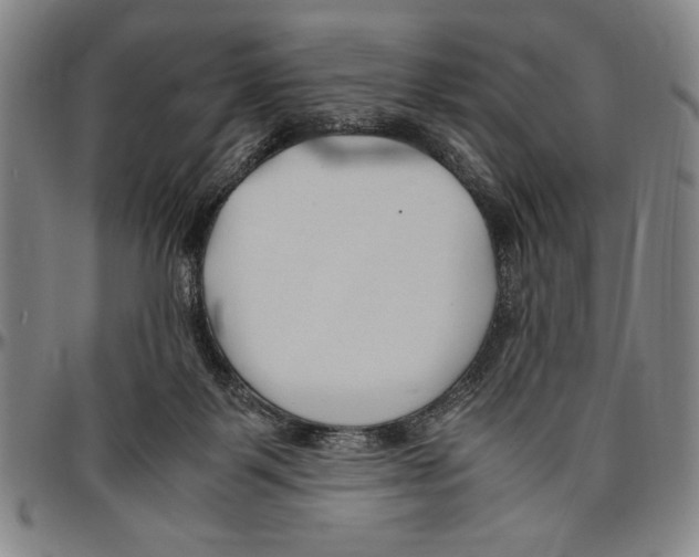 X0000096460123200802211135