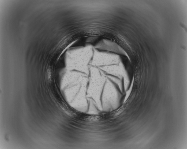 X0000096460124200802211135