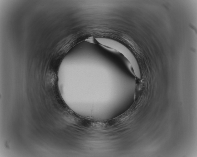 X0000096460125200802211135