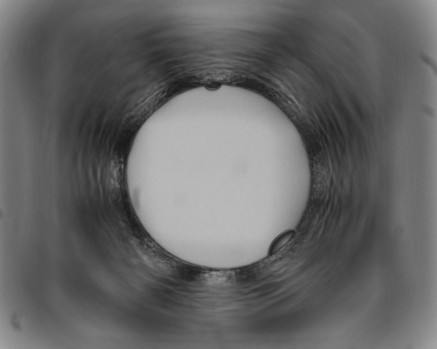 X0000096460126200802211135