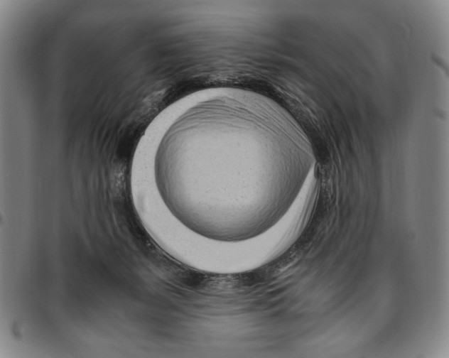 X0000096460127200802211135