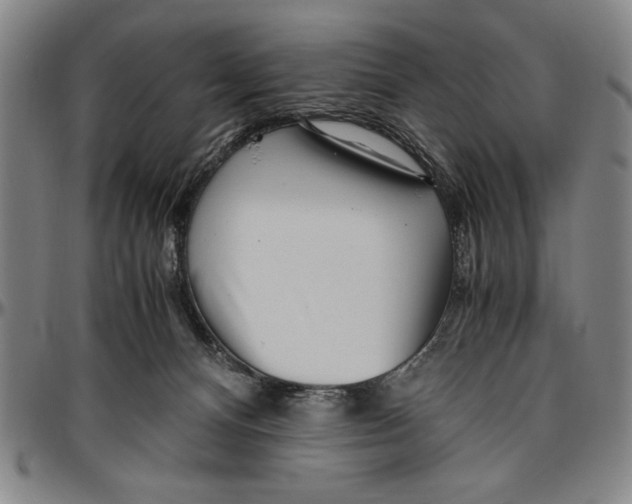 X0000096460128200802211135
