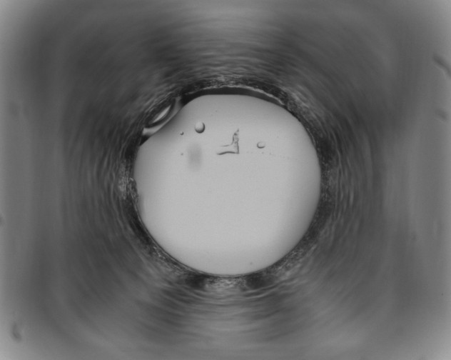 X0000096460129200802211135