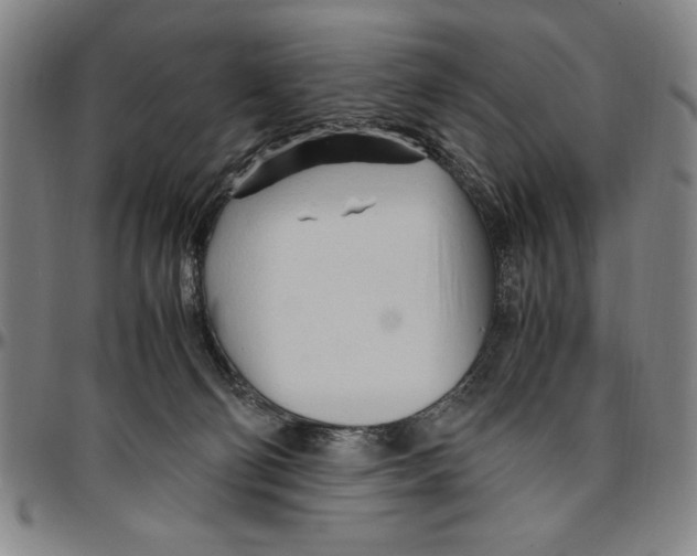 X0000096460130200802211135