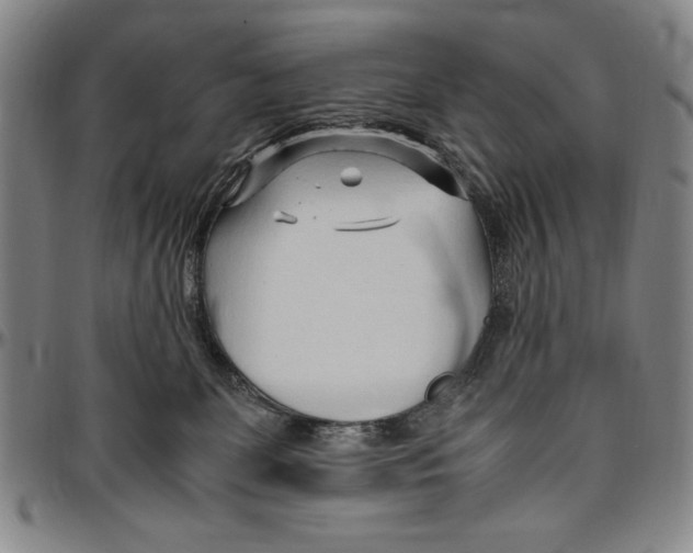 X0000096460131200802211135