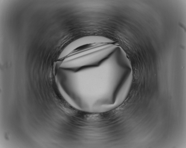 X0000096460132200802211135