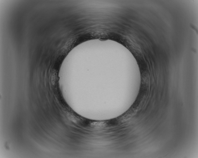 X0000096460133200802211135