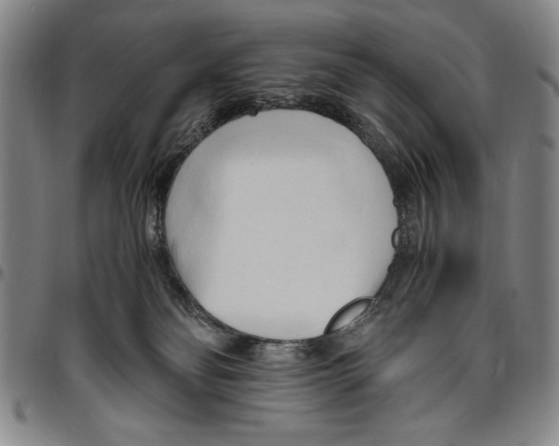 X0000096460134200802211135