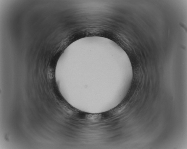 X0000096460135200802211135