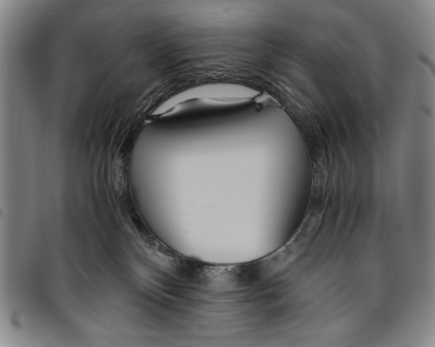 X0000096460136200802211135