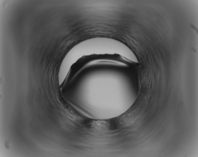 X0000096460137200802211135