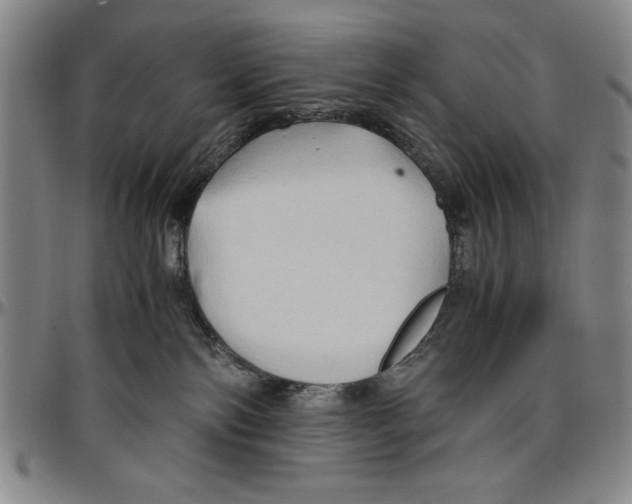 X0000096460138200802211135