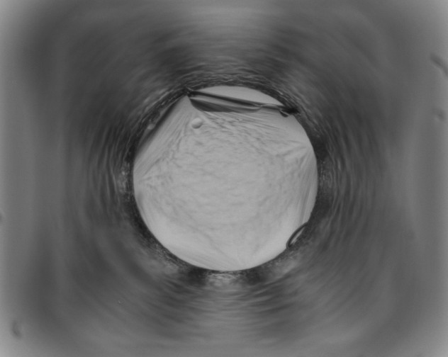 X0000096460139200802211135