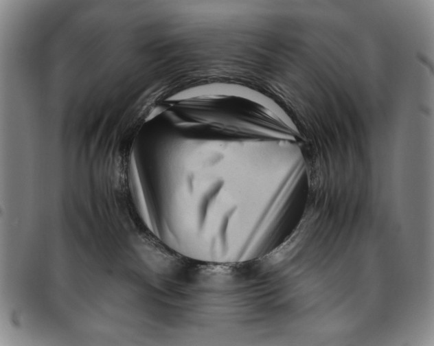 X0000096460140200802211135