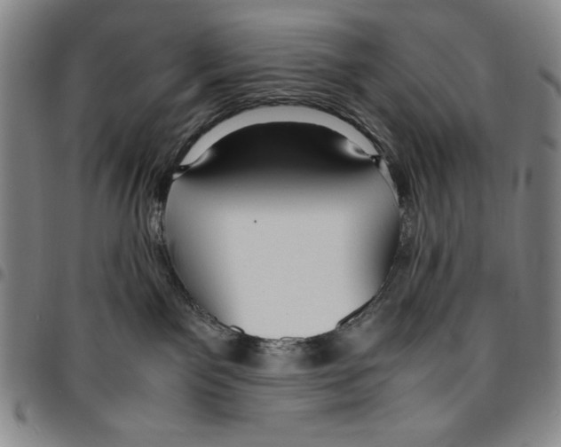 X0000096460141200802211135