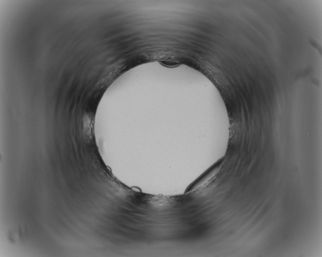 X0000096460142200802211135