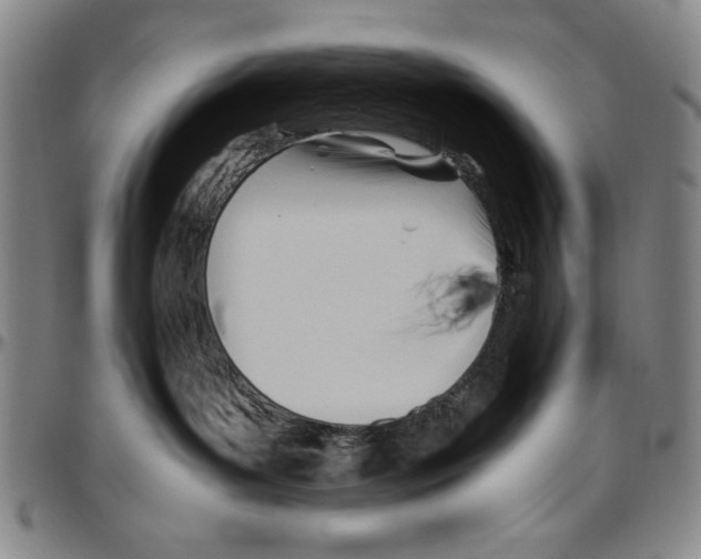 X0000096460143200802211135