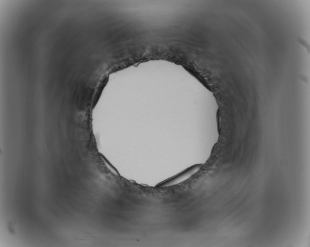 X0000096460144200802211135