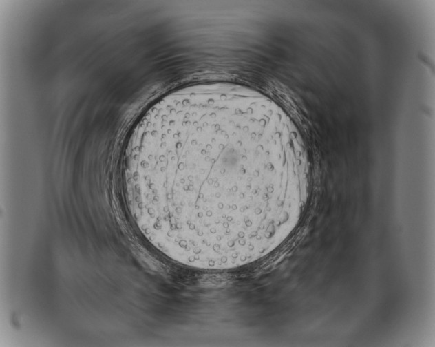 X0000096460145200802211134