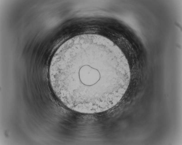 X0000096460146200802211134