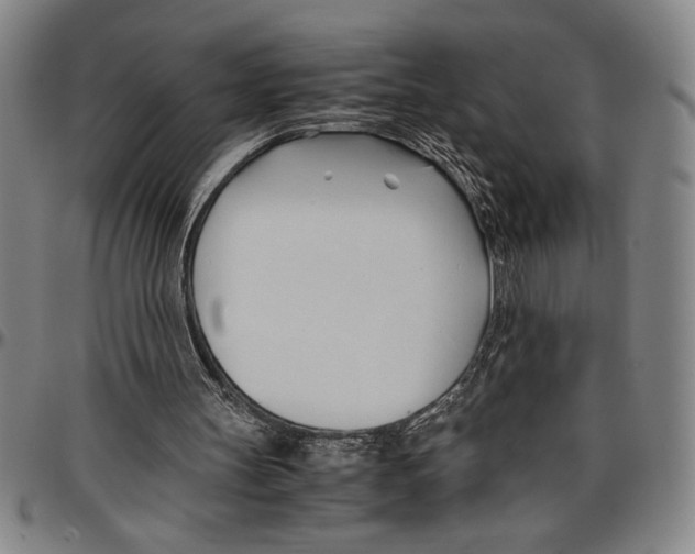 X0000096460147200802211134