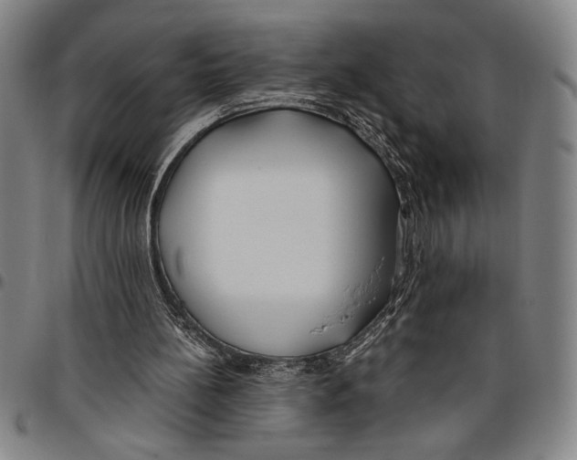 X0000096460148200802211134