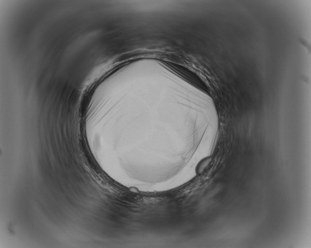 X0000096460149200802211134