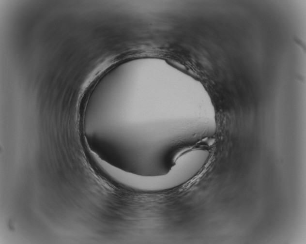 X0000096460150200802211134
