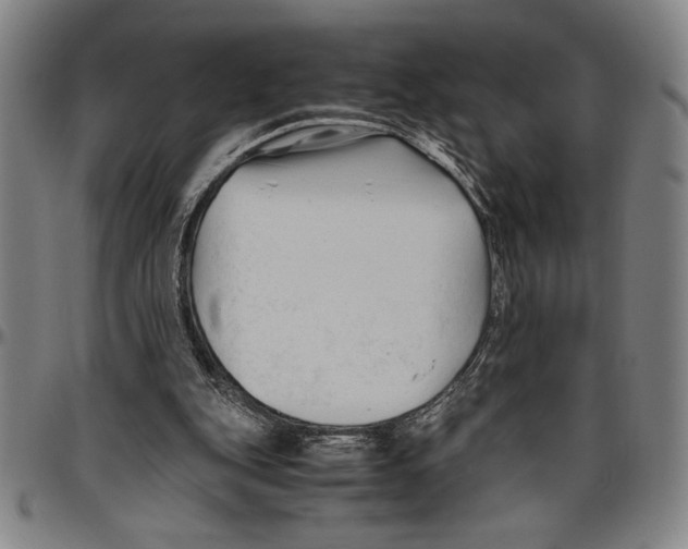 X0000096460151200802211134