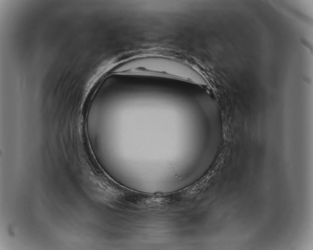 X0000096460152200802211134