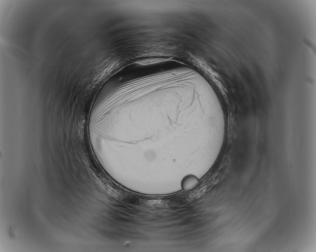 X0000096460153200802211134