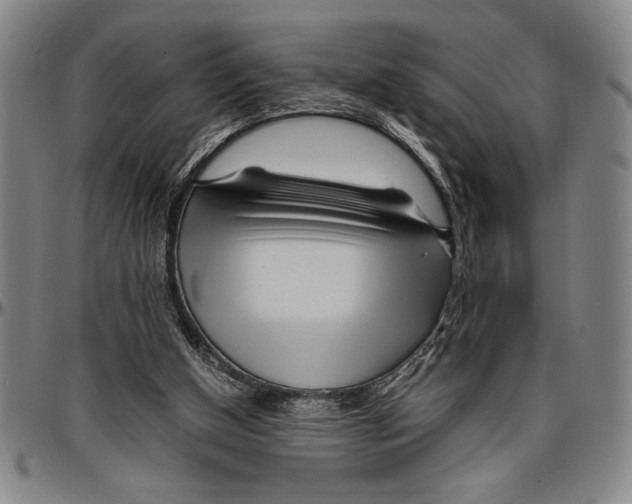 X0000096460154200802211134