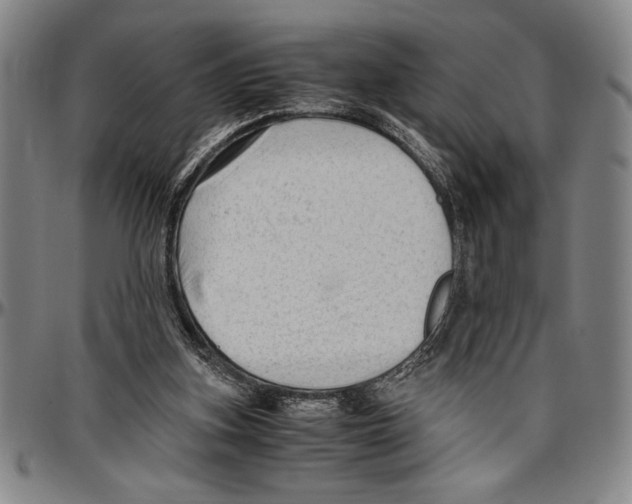 X0000096460155200802211134