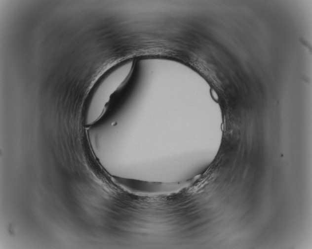 X0000096460156200802211134