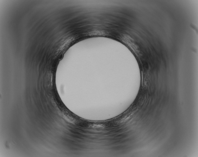X0000096460157200802211134