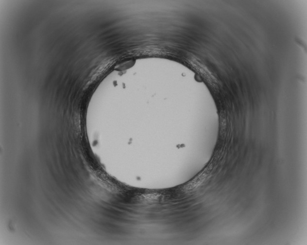 X0000096460158200802211134