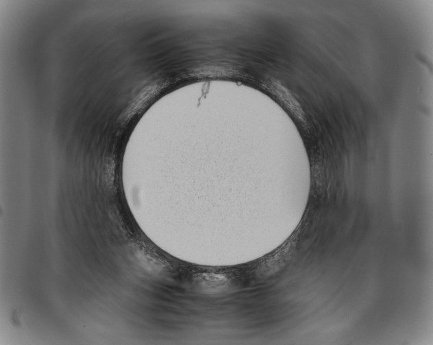 X0000096460159200802211134