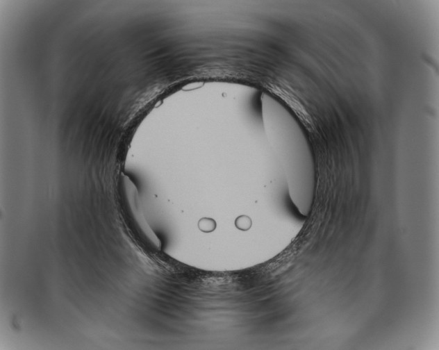 X0000096460160200802211134