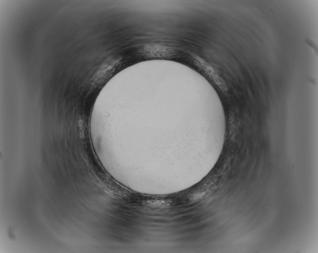 X0000096460161200802211134